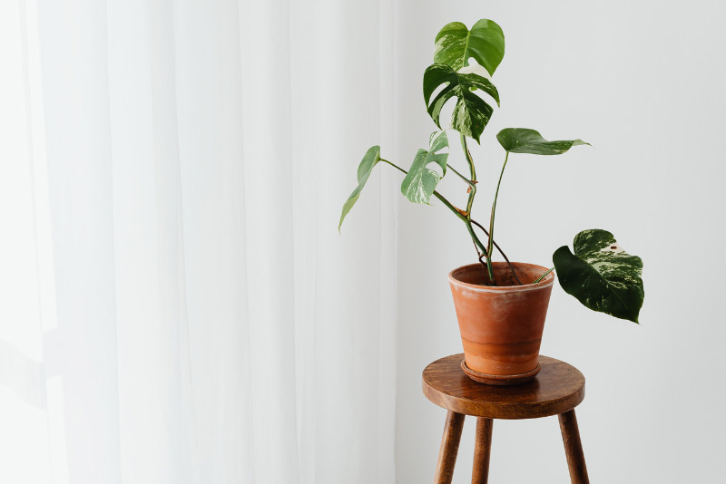 Bez novoročních předsevzetí: 7 klidných pravidel pro přetížené rodiče, ilustrační obrázek