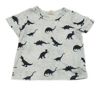 Svetlosivé melírované tričko s dinosaurami
