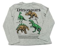 Sivé melírované tričko s dinosaurami H&M