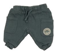 Sivé rebrované tepláky s dinosaurom