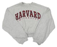 Sivá melírovaná crop mikina s nápisom H&M