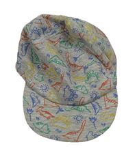 Sivá šiltovka s dinosaurami Primark