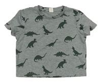 Sivé crop tričko s dinosaurami Shein