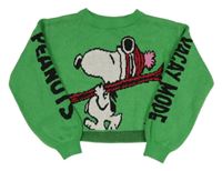 Zelený crop sveter so Snoopym H&M