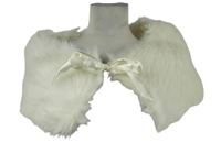 Dámská bílá kožešinová pelerína s mašlou