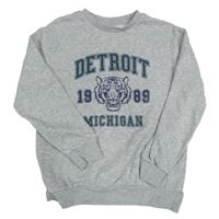 Svetlosivá mikina s nápisom a tigrom Pocopiano