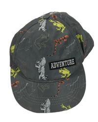 Šedá kšiltovka s dinosaury 