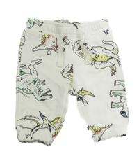 Smotanové tepláky s dinosaurami Primark