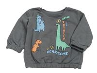 Sivá mikina s dinosaurami Primark