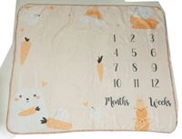 Meruňková plyšová milníková deka se zajíčkem a mrkvičkami a číslicemi 