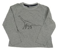 Sivé tričko s dinem Lupilu