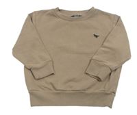 Hnedošedé á mikina s dinosaurom zn. Next