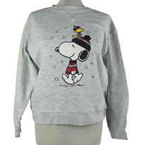 Dámska sivá mikina so Snoopym H&M