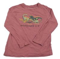 Vínové tričko s dinosaurami Primark