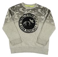 Šedo-army vzorovaná mikina s potiskem dinosara F&F