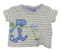 Bílo-šedé pruhované tričko s dinosaurem Ergee 