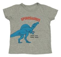 Sivé melírované tričko s dinosaurom