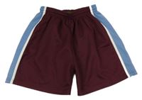 Mahagonovo-modré sportovní kraťasy s pruhy FALCON