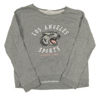 Sivá mikina s tigrom H&M