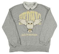 Sivá mikina s Hedvikou a golierikom H&M