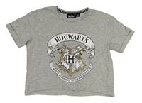 Sivé melírované crop tričko s erbem - Harry Potter Primark