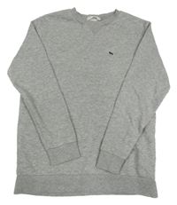 Sivá melírovaná mikina s výšivkou H&M