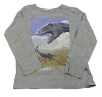 Sivé melírované tričko s dinosaurami H&M