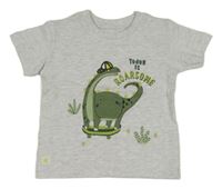 Svetlosivé melírované tričko s dinem Matalan