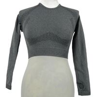 Dámske sivé športové elastické crop tričko