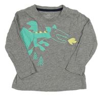 Sivé melírované tričko s drakom Lupilu